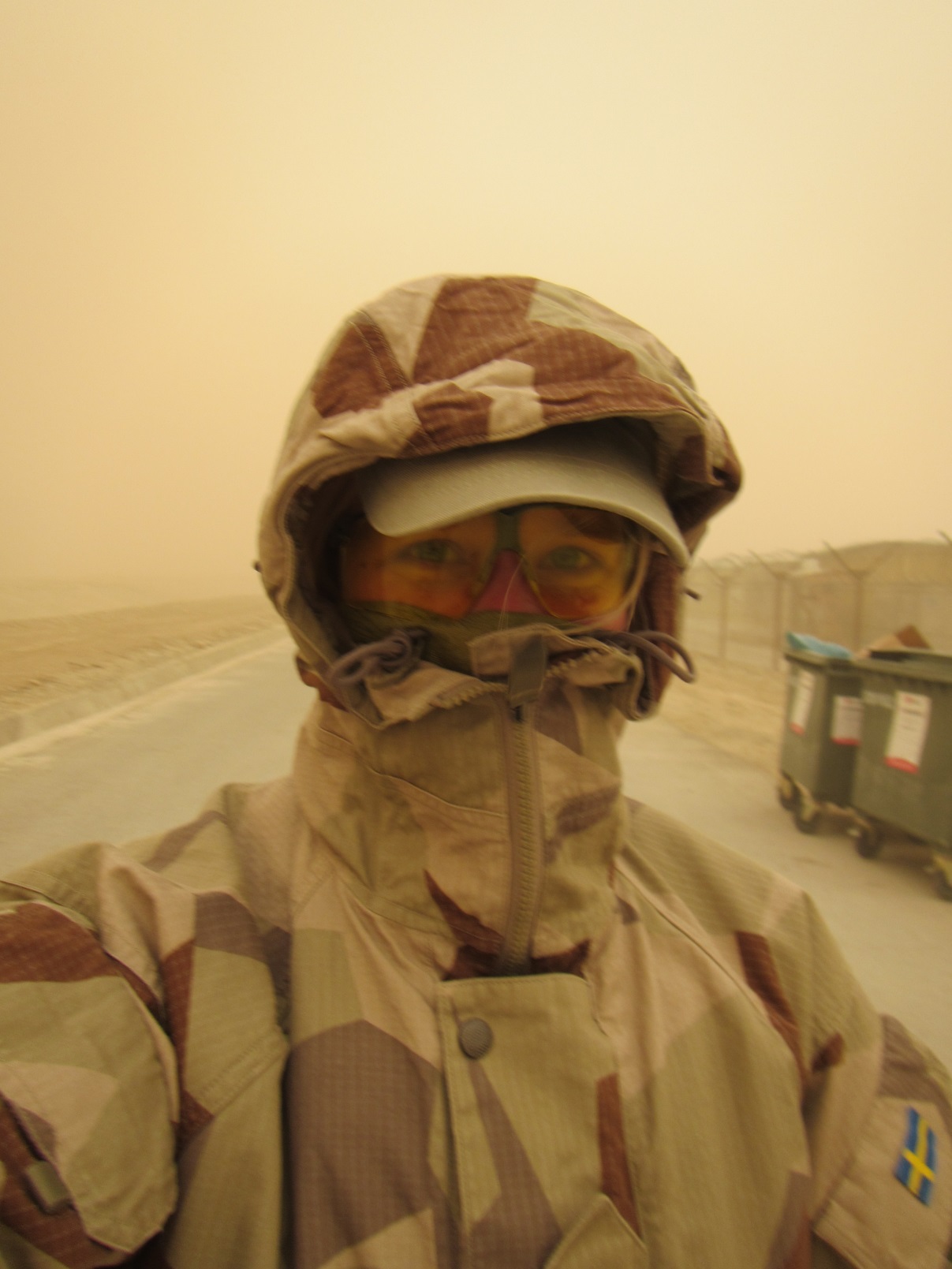 Sandstorm i MeS under sensommaren 2013 (Foto: U. Reimer)