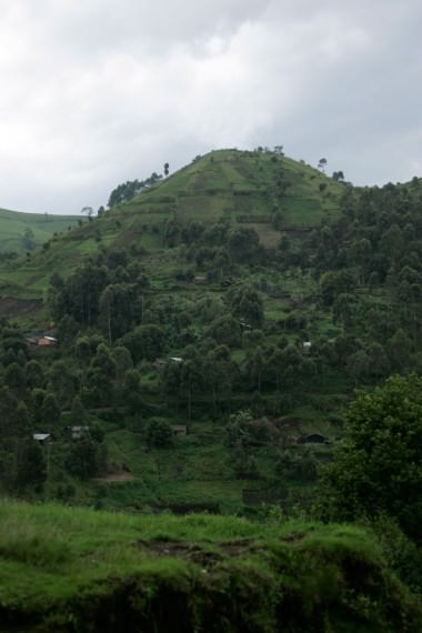 The terrain