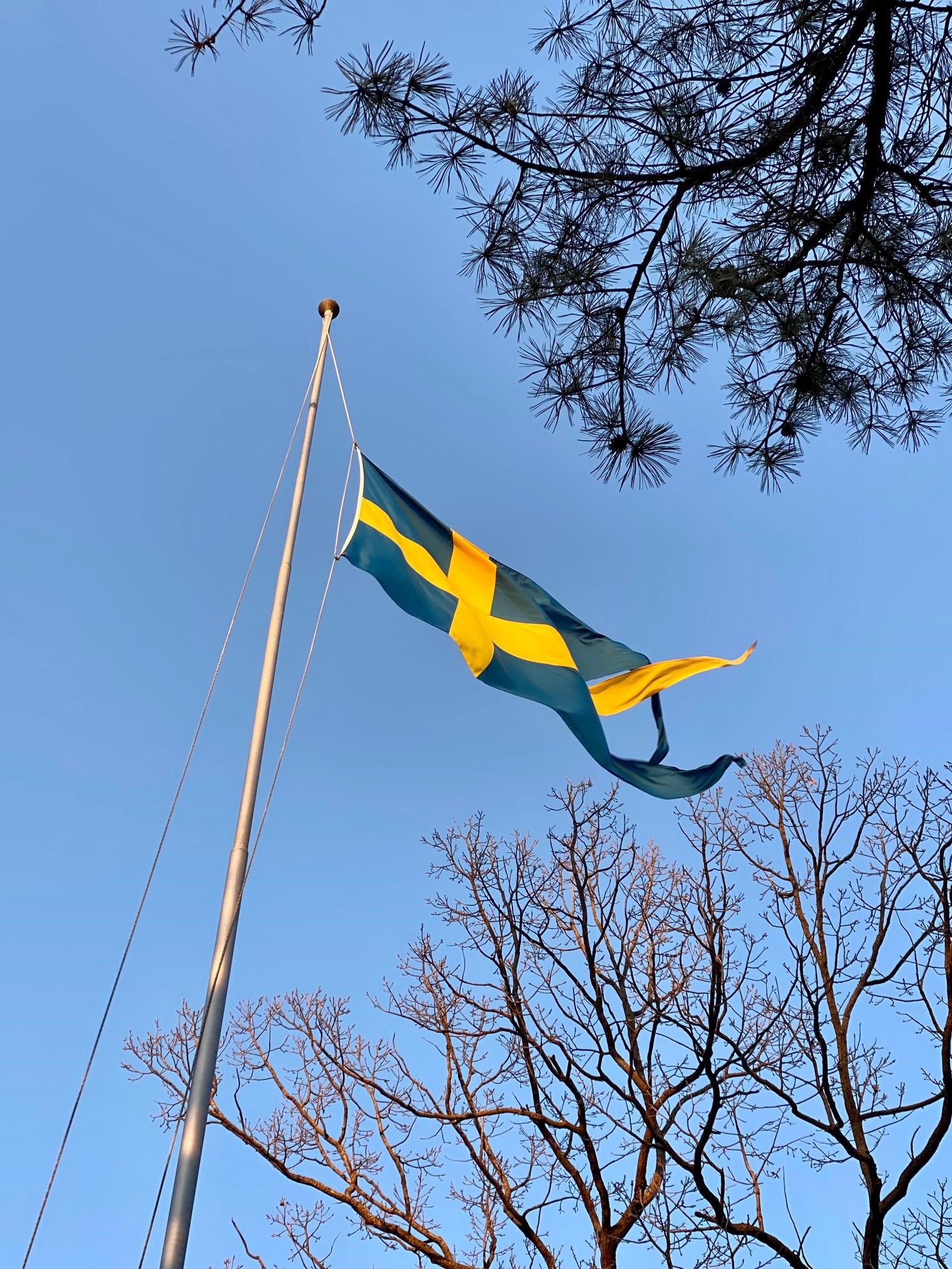 Svensk tretungad flagga